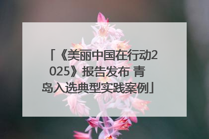 《美丽中国在行动2025》报告发布 青岛入选典型实践案例