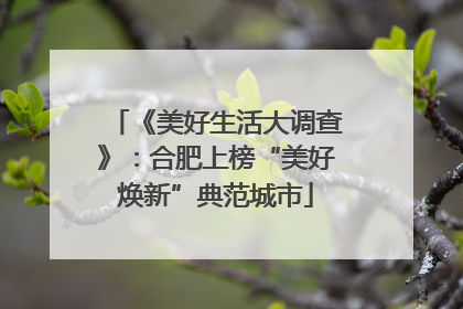 《美好生活大调查》：合肥上榜“美好焕新”典范城市