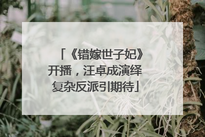 《错嫁世子妃》开播，汪卓成演绎复杂反派引期待