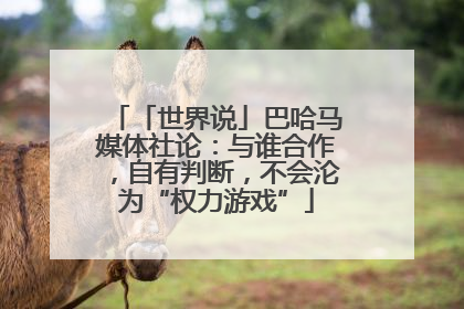 「世界说」巴哈马媒体社论：与谁合作，自有判断，不会沦为“权力游戏”