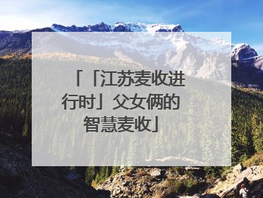 「江苏麦收进行时」父女俩的智慧麦收