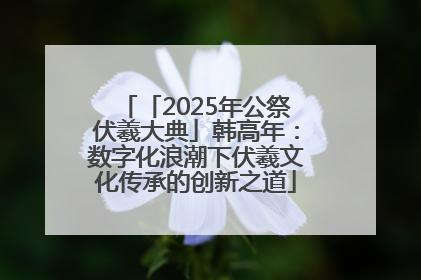 「2025年公祭伏羲大典」韩高年：数字化浪潮下伏羲文化传承的创新之道