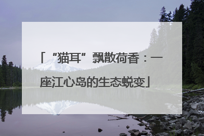 “猫耳”飘散荷香：一座江心岛的生态蜕变