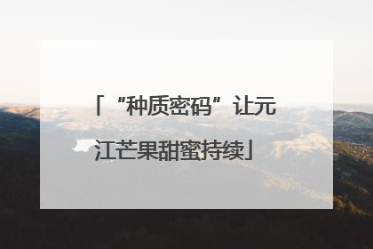 “种质密码”让元江芒果甜蜜持续