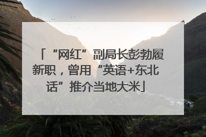 “网红”副局长彭勃履新职，曾用“英语+东北话”推介当地大米
