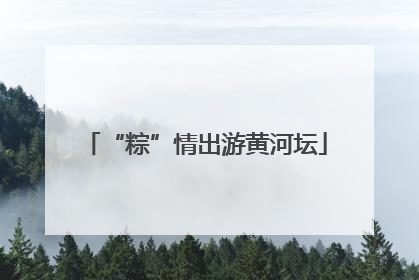 “粽”情出游黄河坛