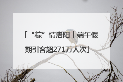 “粽”情洛阳丨端午假期引客超271万人次