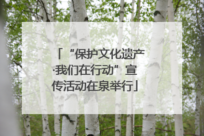 “保护文化遗产·我们在行动”宣传活动在泉举行
