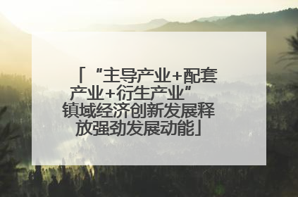“主导产业+配套产业+衍生产业” 镇域经济创新发展释放强劲发展动能