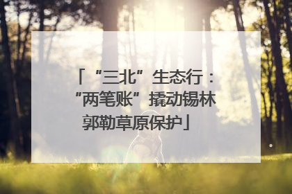 “三北”生态行：“两笔账”撬动锡林郭勒草原保护