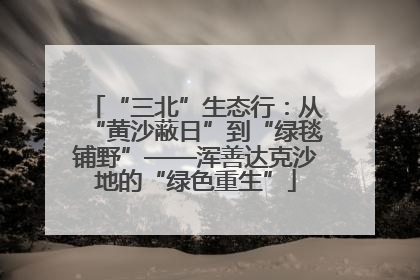 “三北”生态行：从“黄沙蔽日”到“绿毯铺野”——浑善达克沙地的“绿色重生”