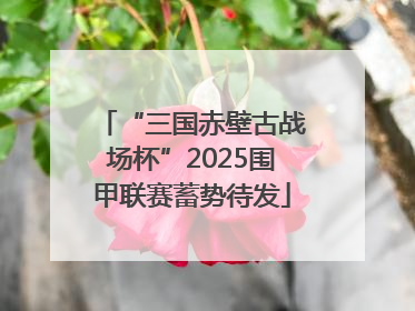“三国赤壁古战场杯”2025围甲联赛蓄势待发