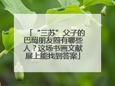 “三苏”父子的巴蜀朋友圈有哪些人？这场书画文献展上能找到答案