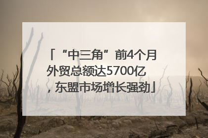 “中三角”前4个月外贸总额达5700亿，东盟市场增长强劲
