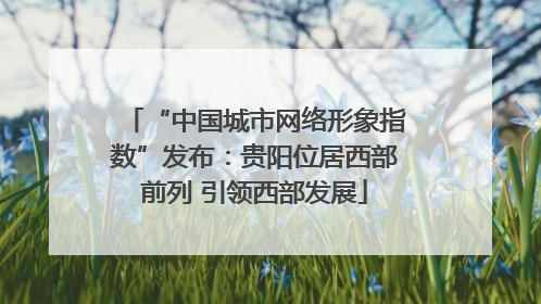 “中国城市网络形象指数”发布：贵阳位居西部前列 引领西部发展