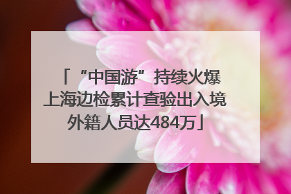 “中国游”持续火爆 上海边检累计查验出入境外籍人员达484万