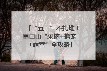 “五一”不扎堆！里口山“采摘+撸宠+露营”全攻略