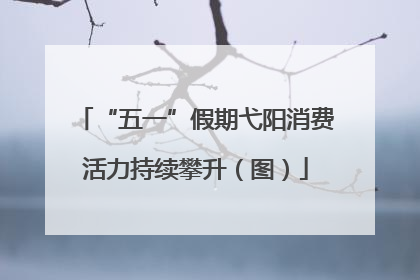 “五一”假期弋阳消费活力持续攀升（图）