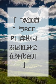 “双通道”与RCEP口岸协同发展推进会在怀化召开