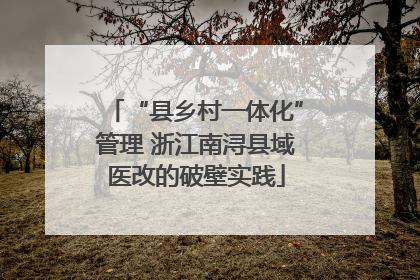 “县乡村一体化”管理 浙江南浔县域医改的破壁实践