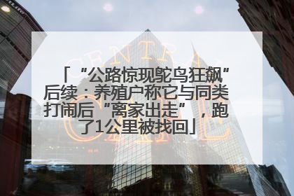 “公路惊现鸵鸟狂飙”后续：养殖户称它与同类打闹后“离家出走”，跑了1公里被找回