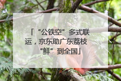 “公铁空”多式联运，京东助广东荔枝“鲜”到全国