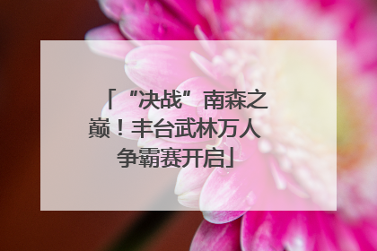 “决战”南森之巅！丰台武林万人争霸赛开启