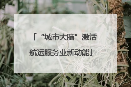“城市大脑”激活航运服务业新动能