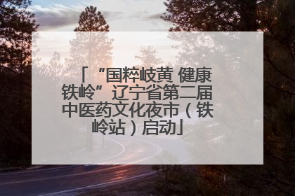 “国粹岐黄 健康铁岭”辽宁省第二届中医药文化夜市（铁岭站）启动