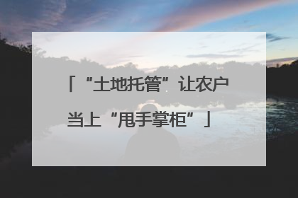 “土地托管”让农户当上“甩手掌柜”