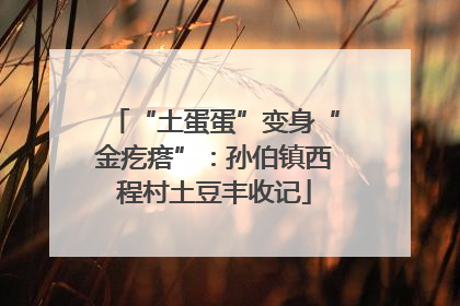 “土蛋蛋”变身“金疙瘩”：孙伯镇西程村土豆丰收记