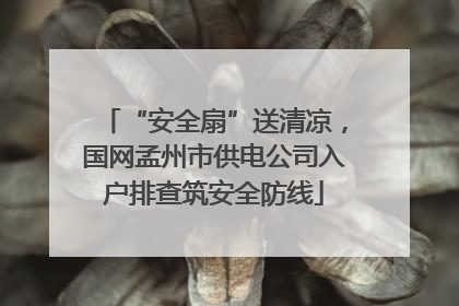 “安全扇”送清凉，国网孟州市供电公司入户排查筑安全防线