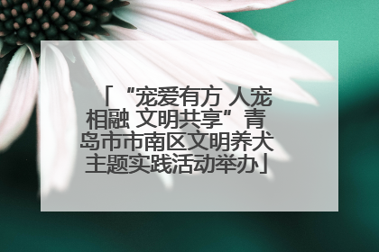 “宠爱有方 人宠相融 文明共享”青岛市市南区文明养犬主题实践活动举办
