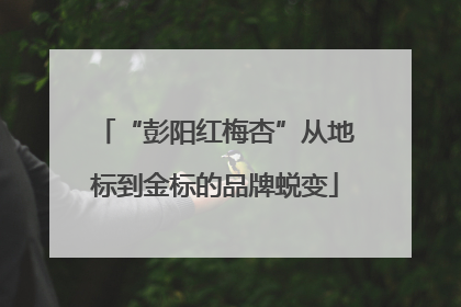 “彭阳红梅杏”从地标到金标的品牌蜕变