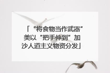“将食物当作武器” 美以“把手伸到”加沙人道主义物资分发