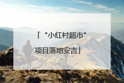 “小红村超市”项目落地安吉