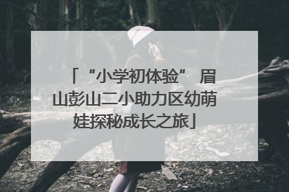 “小学初体验” 眉山彭山二小助力区幼萌娃探秘成长之旅