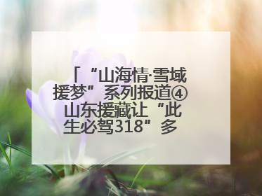 “山海情·雪域援梦”系列报道④ 山东援藏让“此生必驾318”多了N个理由