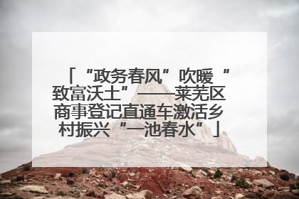 “政务春风”吹暖“致富沃土”——莱芜区商事登记直通车激活乡村振兴“一池春水”