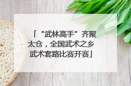 “武林高手”齐聚太仓，全国武术之乡武术套路比赛开赛
