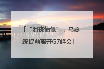 “沮丧愤慨”，乌总统提前离开G7峰会