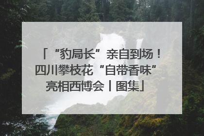 “豹局长”亲自到场！四川攀枝花“自带香味”亮相西博会丨图集