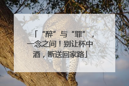 “醉”与“罪”，一念之间！别让杯中酒，断送回家路