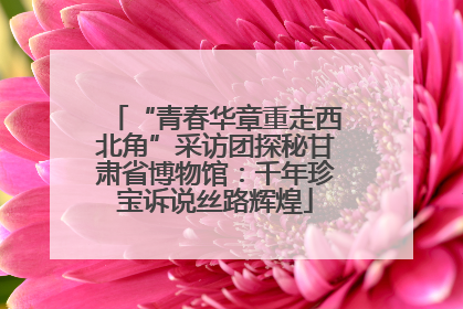 “青春华章重走西北角”采访团探秘甘肃省博物馆：千年珍宝诉说丝路辉煌