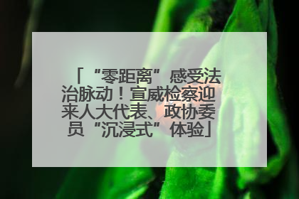 “零距离”感受法治脉动！宣威检察迎来人大代表、政协委员“沉浸式”体验