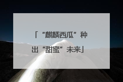 “麒麟西瓜”种出“甜蜜”未来
