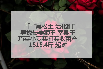 “黑松土 活化肥”寻找最美粮王 莘县王巧英小麦实打实收亩产1515.4斤 超对照田144斤！