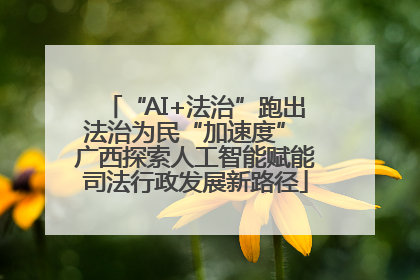 “AI+法治”跑出法治为民“加速度” 广西探索人工智能赋能司法行政发展新路径