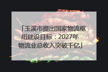 玉溪市提出国家物流枢纽建设目标：2027年物流业总收入突破千亿