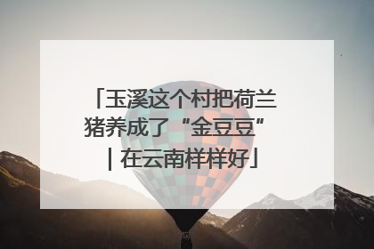 玉溪这个村把荷兰猪养成了“金豆豆”｜在云南样样好